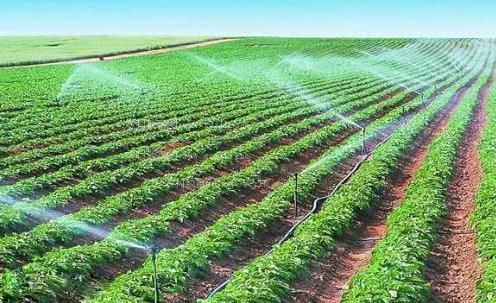 干肥逼视频农田高 效节水灌溉